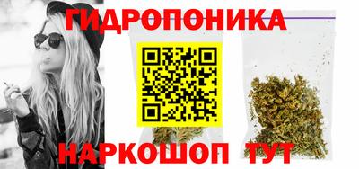 Альфа ПВП Малгобек