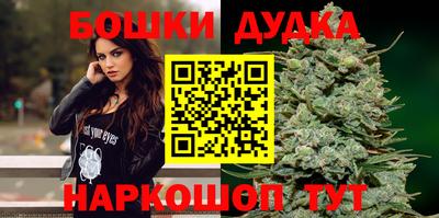 Альфа ПВП Малгобек