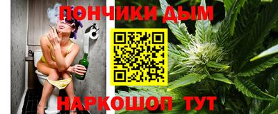 Альфа ПВП Малгобек