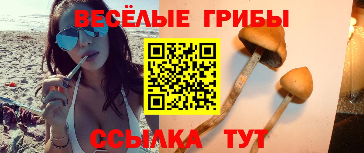 Псилоцибиновые грибы мицелий  Псилоцибиновые грибы прущие грибы  Вход с VPN  Ивантеевка 